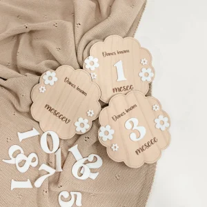 Meraki Kartice mejnikov - daisy