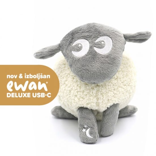 945-Bacek-Ewan-Deluxe-USB-C-Siva_izboljsan-550x550